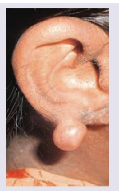 Image for question 28