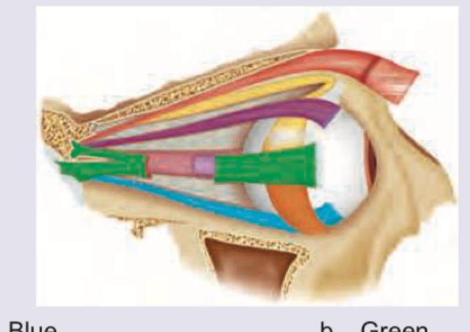 Image for question 1161