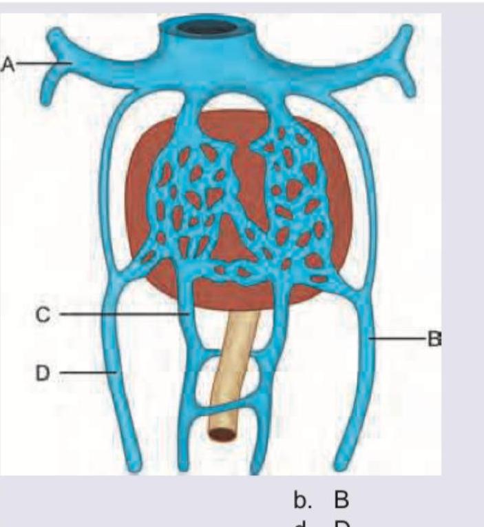 Image for question 990