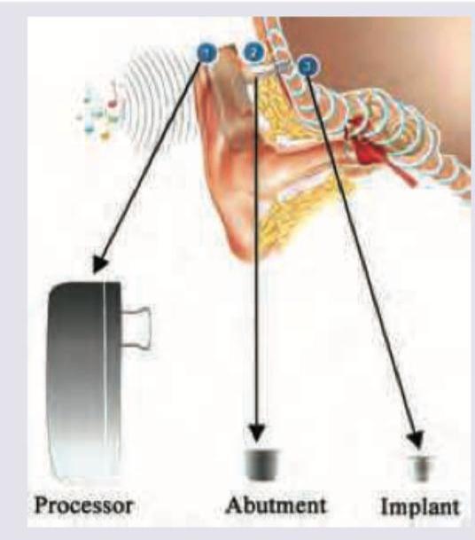 Image for question 9