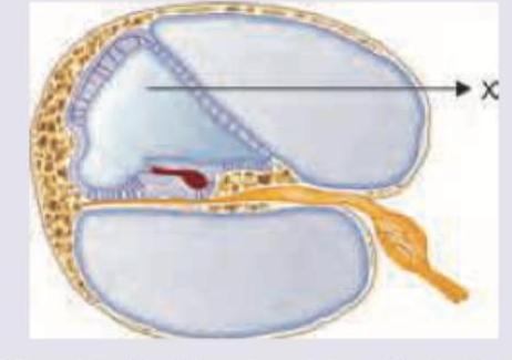 Image for question 182