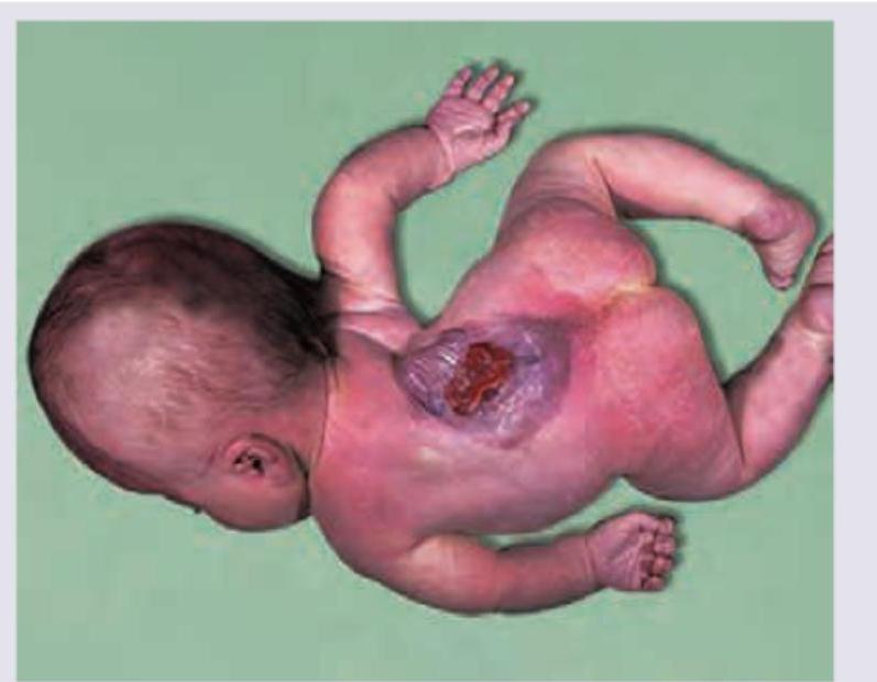 Image for question 10