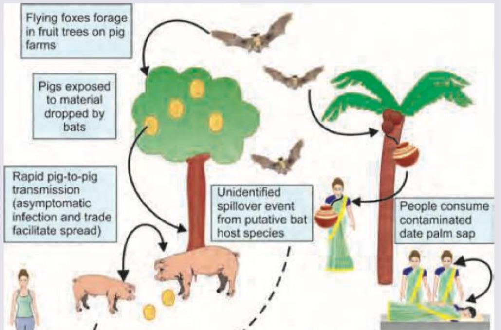 Image for question 31