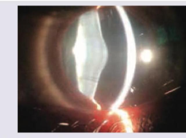 Image for question 10