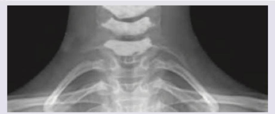 Image for question 3