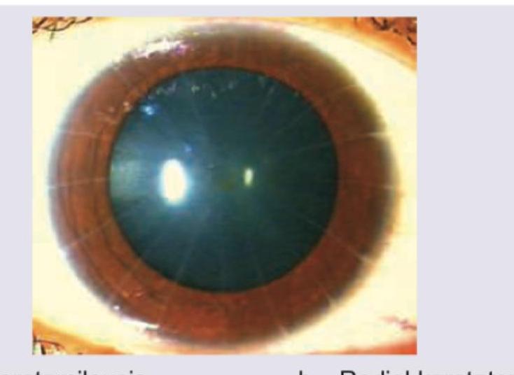 Image for question 17