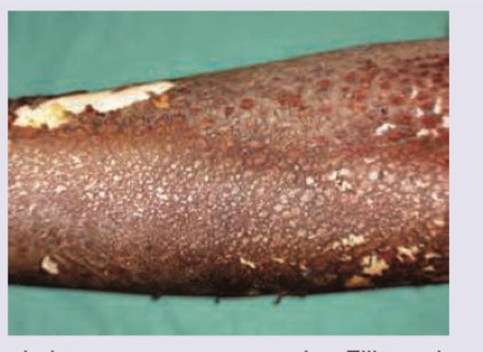 Image for question 2