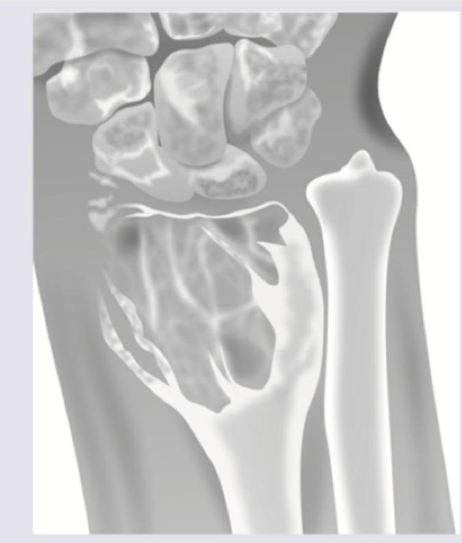 Image for question 3