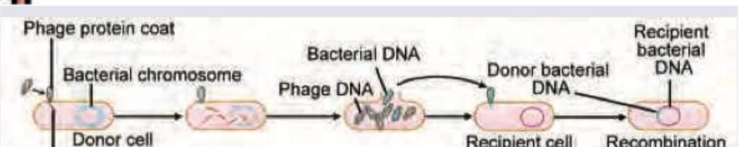 Image for question 171