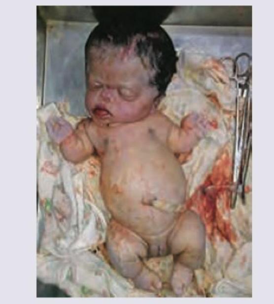 Image for question 13