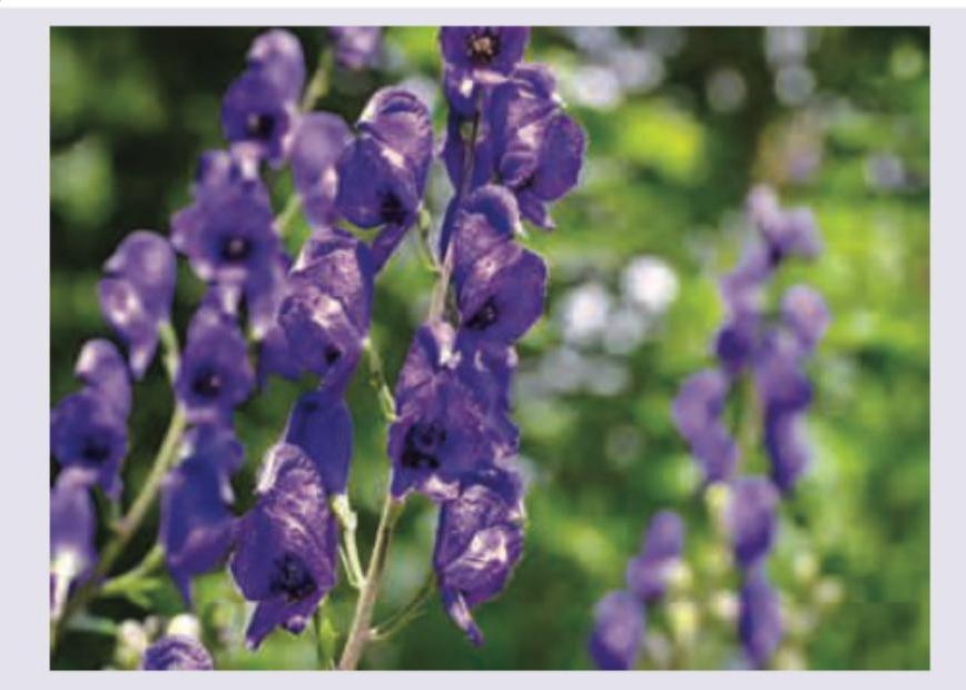 Image for question 5