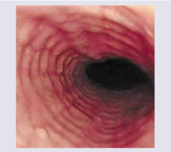 Image for question 5