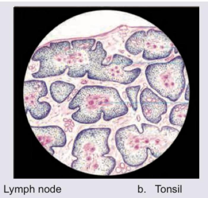 Image for question 14
