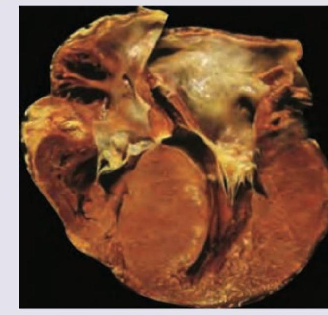 Image for question 10