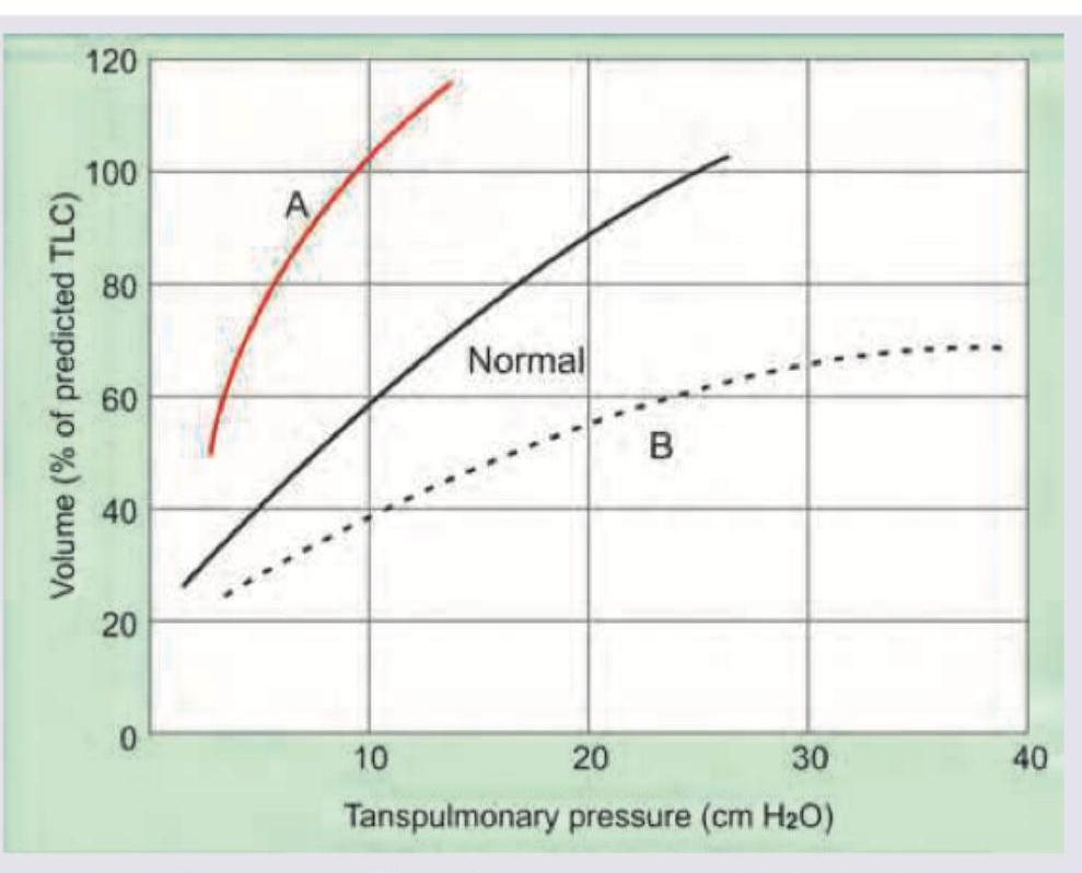 Image for question 4