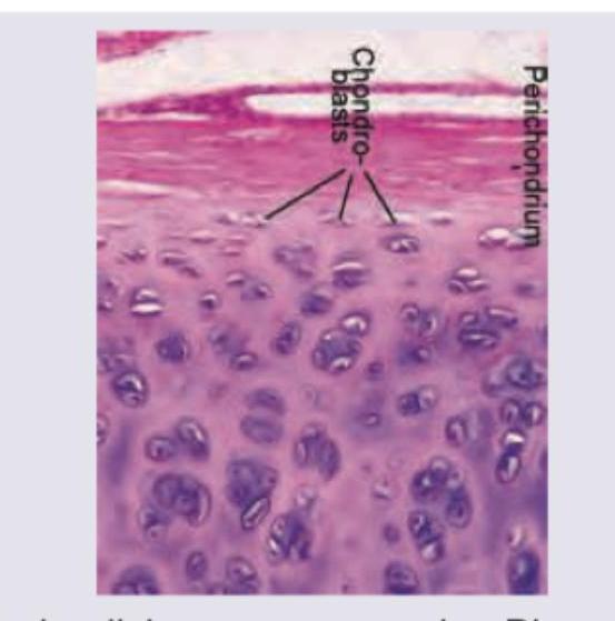 Image for question 10