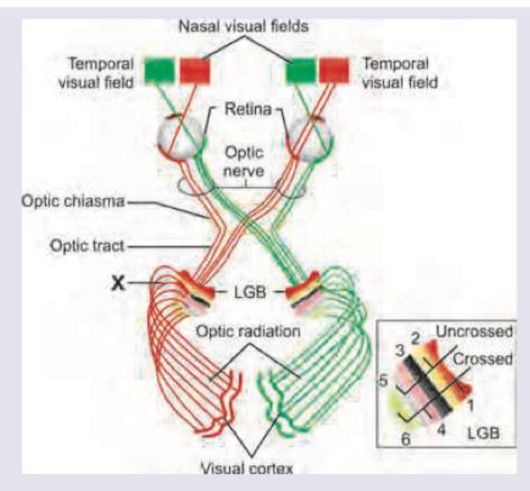 Image for question 357
