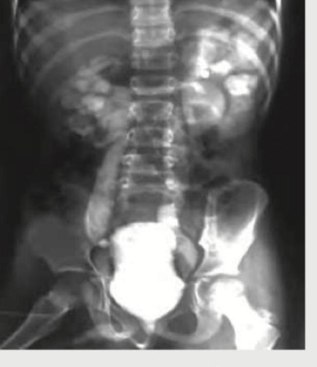 Image for question 65