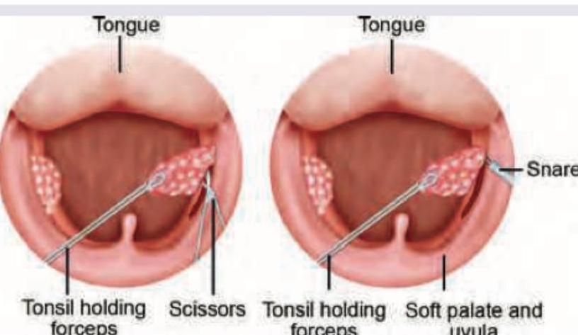 Image for question 258