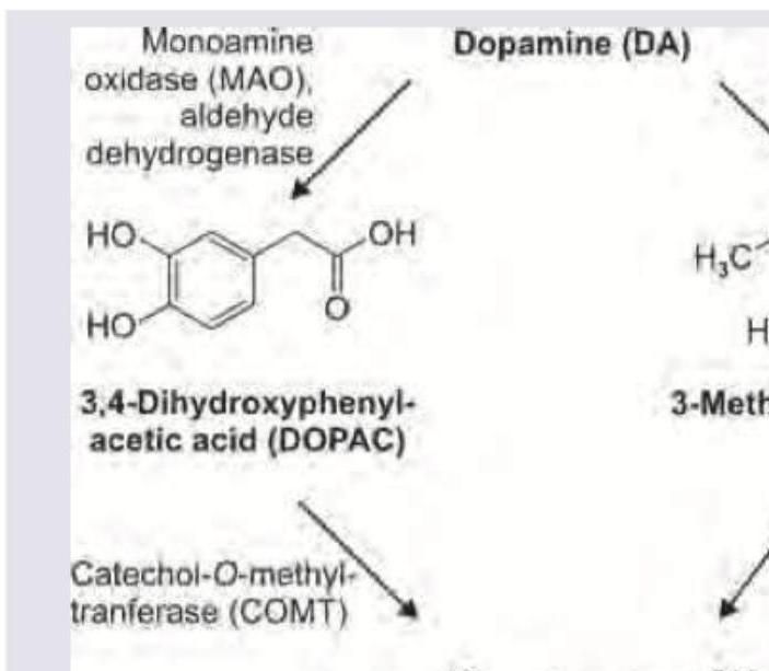 Image for question 433