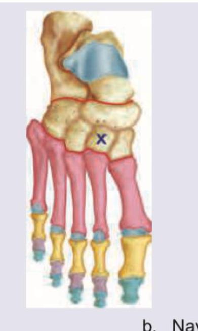 Image for question 468