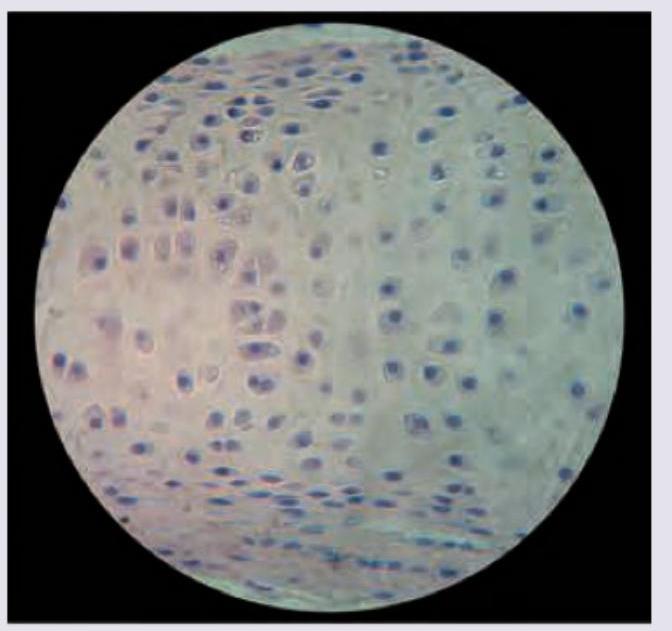 Image for question 9