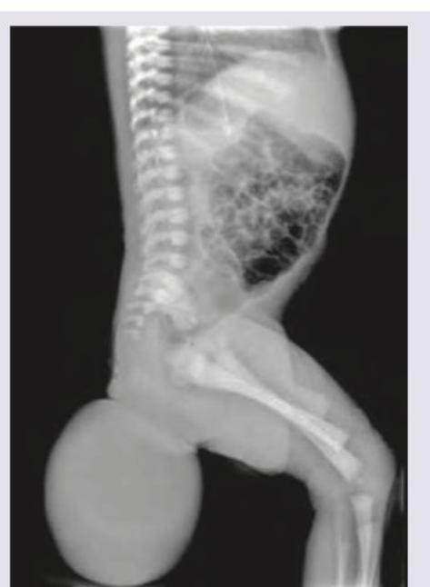 Image for question 57