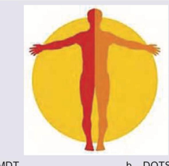 Image for question 162