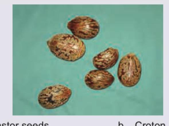 Image for question 774