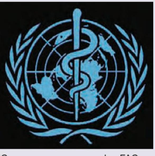 Image for question 10