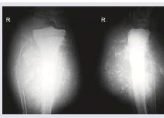 Image for question 11