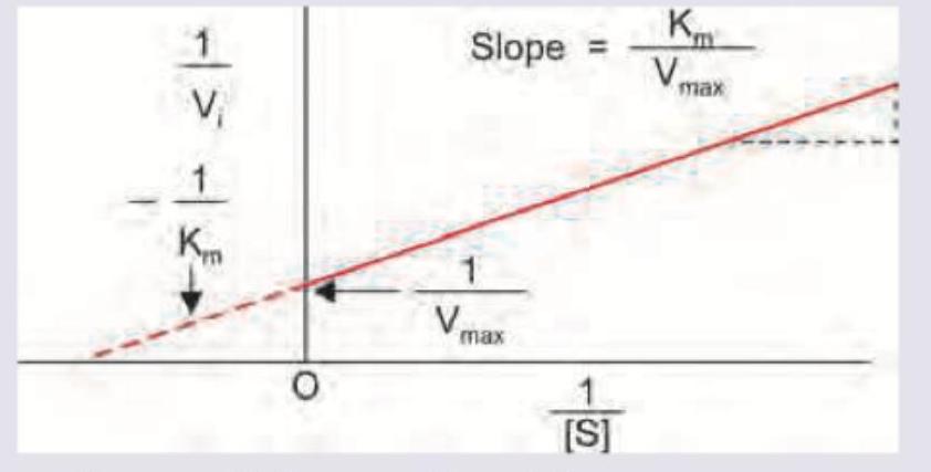 Image for question 3