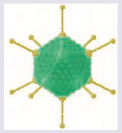 Image for question 9