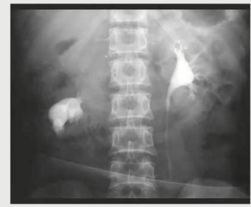 Image for question 13