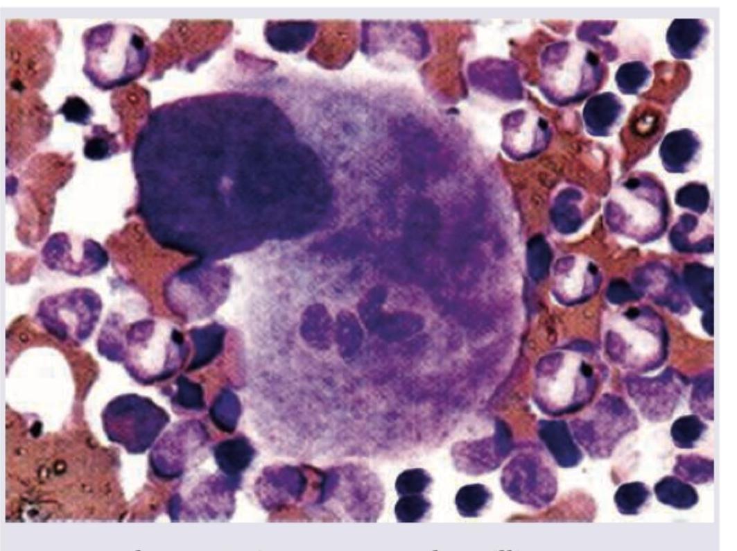 Image for question 9