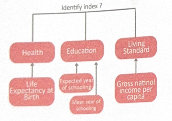 Image for question 10