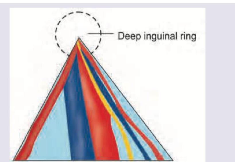 Image for question 10