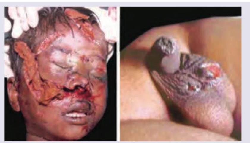 Image for question 358