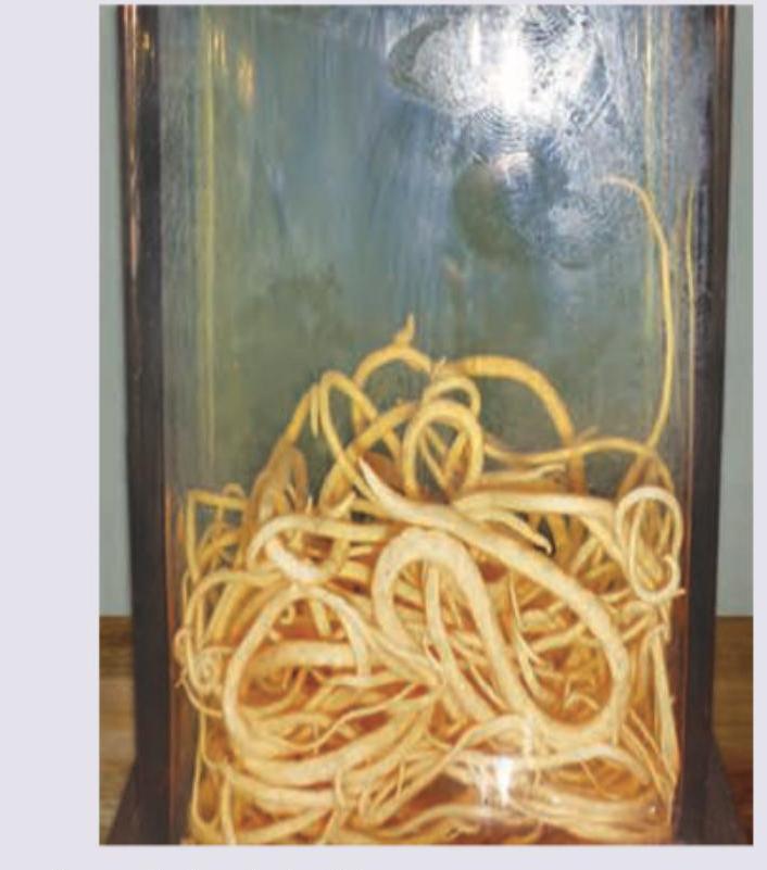 Image for question 20