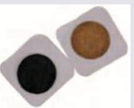 Image for question 10