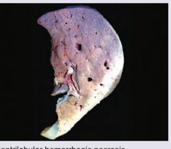 Image for question 7