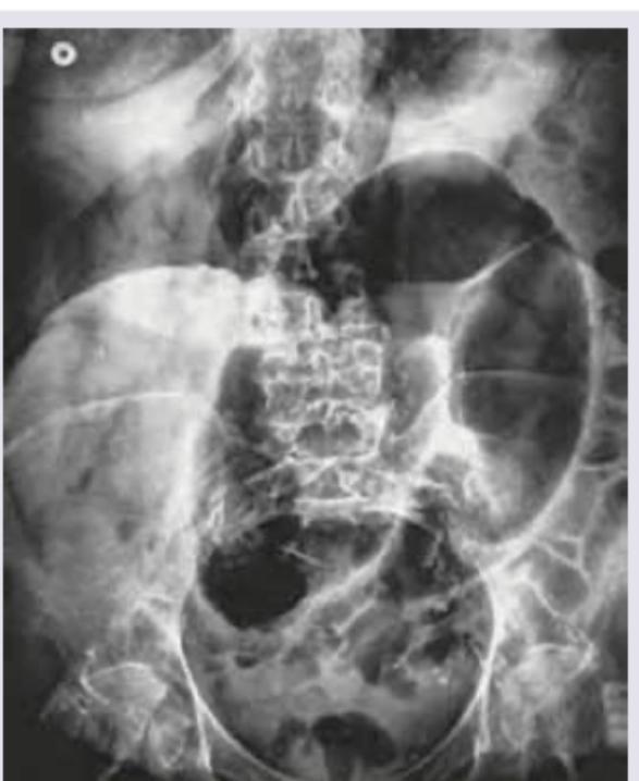 Image for question 10