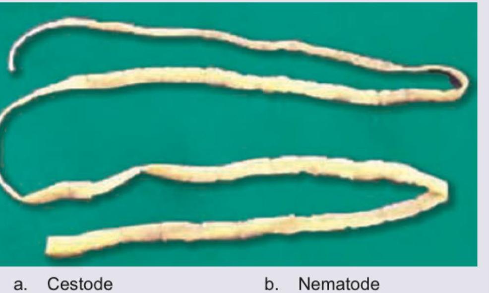 Image for question 9