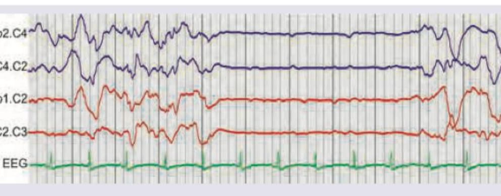 Image for question 8