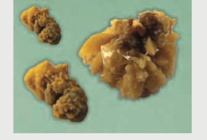 Image for question 560