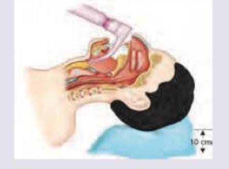 Image for question 10