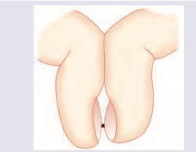 Image for question 60