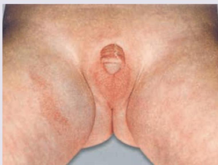 Image for question 17