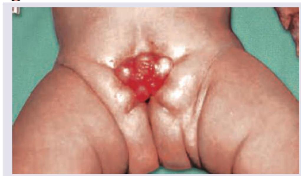 Image for question 3