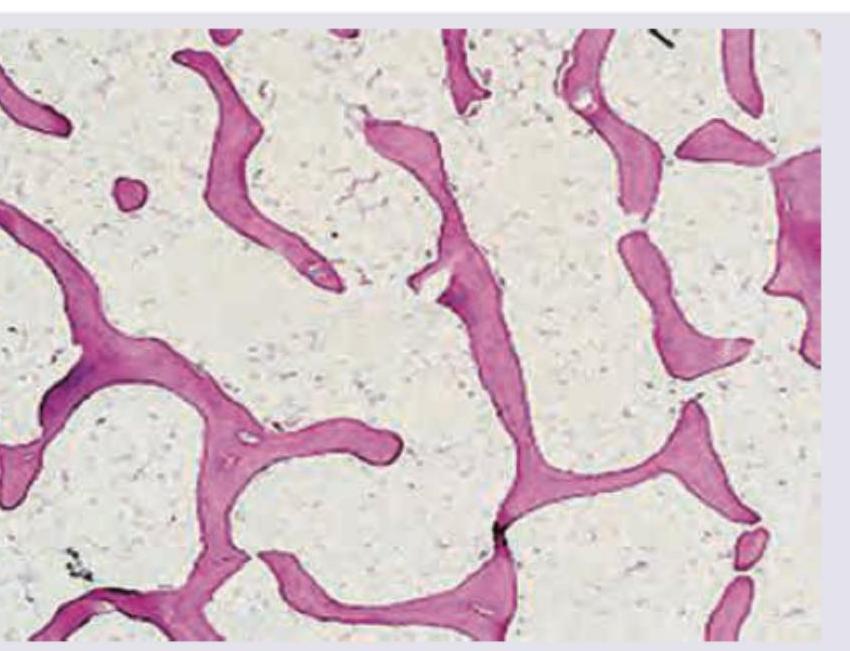 Image for question 7